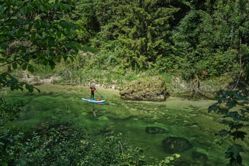 Lambach: Guided SUP & kayak tour through the Natura 2000 area Traun - In-Depth: What Makes This Tour Stand Out