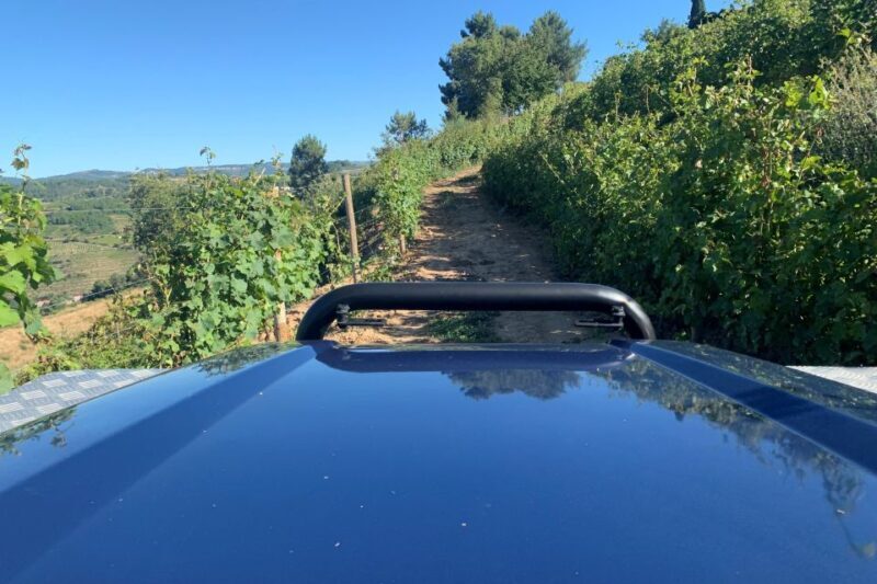 Lamego: Quinta da Portela de Baixo Winery Tour and Tasting - Practical Details