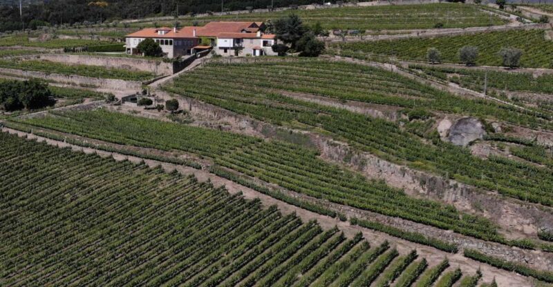 Lamego: Quinta da Portela de Baixo Winery Tour and Tasting - Final Thoughts