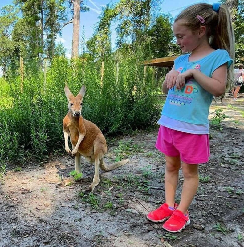 Lamont: Kangaroo Encounter at North Florida Wildlife Center - Detailed Review: What to Expect at North Florida Wildlife Center