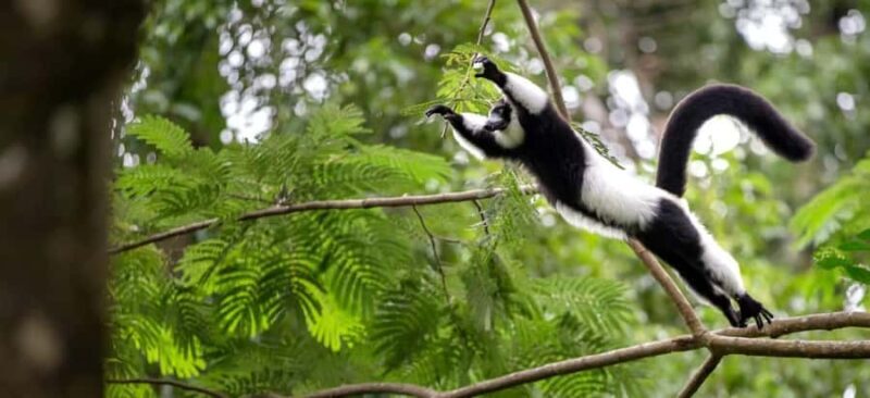 Lamont: North Florida Wildlife Center Guided Tour - Who Should Consider This Tour?