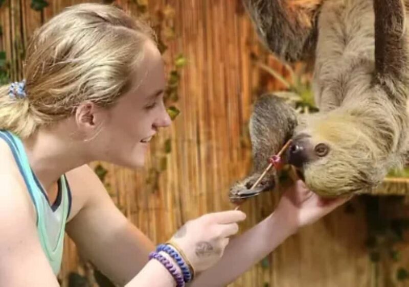 Lamont: Sloth Encounter at North Florida Wildlife Center - Real Experiences from Visitors