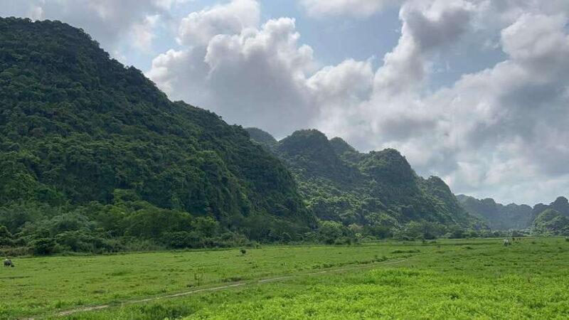 Lan Ha Bay Cat Ba Island Sightseeing Cruise 2 Days Tour - Who Will Appreciate This Tour?