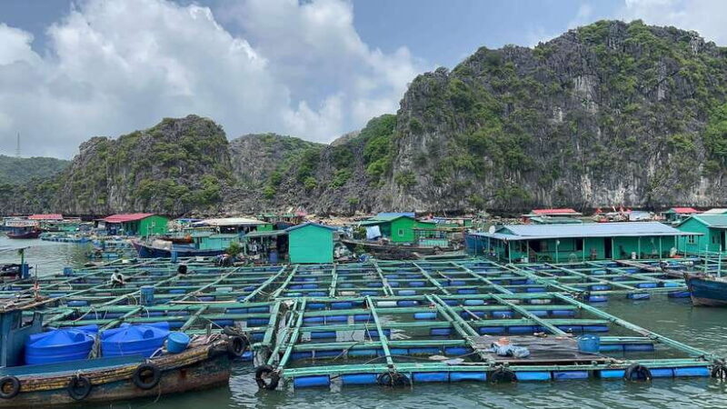 Lan Ha Bay Cat Ba Island Sightseeing Cruise 2 Days Tour - FAQ