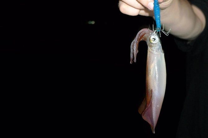 Lan Ha bay deluxe cruise 2D/1N: kayaking & swimming at pristine places & meals - FAQ: Practical Questions About the Tour