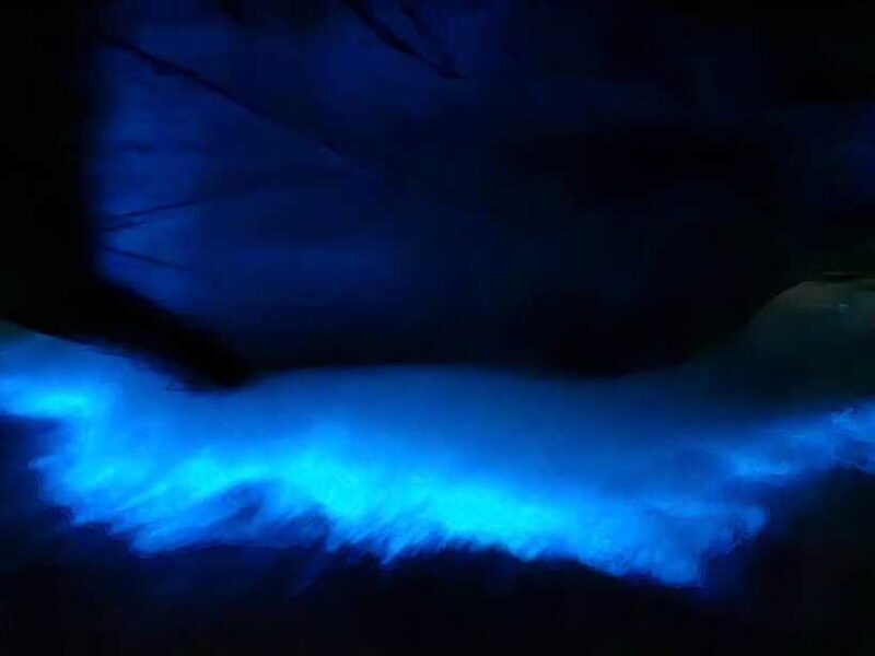 Lan Ha Bay sunset and night kayak with Bioluminescence - Price and Value Analysis