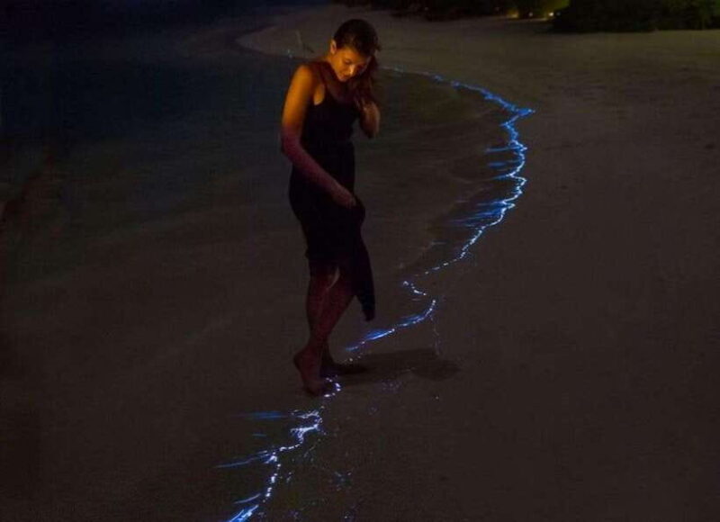 Lan Ha Bay Sunset,Evening Kayak Bioluminescent Plankton Trip - Practical Tips for Travelers