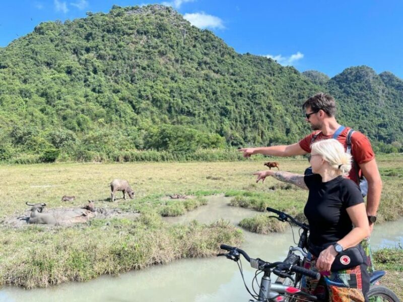 Lan Ha Bay Viet Hai village Boutique Cruise - A Detailed Review of the Lan Ha Bay Viet Hai Village Boutique Cruise