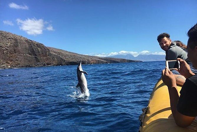 Lanai Deluxe Dolphin Adventure & 3 Snorkel Sites - Key Points