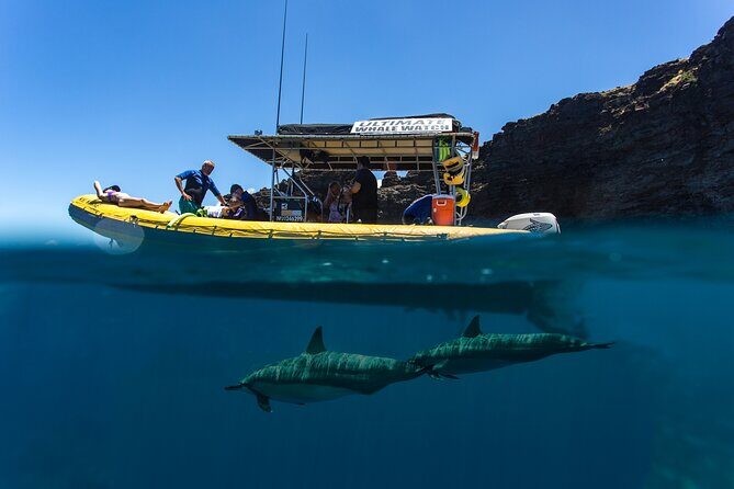 Lanai Deluxe Dolphin Adventure & 3 Snorkel Sites - The Sum Up