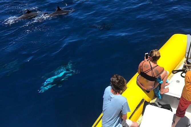 Lanai Deluxe Dolphin Adventure & 3 Snorkel Sites - FAQ