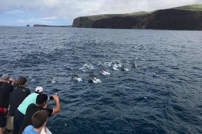 Lanai Snorkel and Dolphin Watch from Maalaea - The Itinerary: What to Expect
