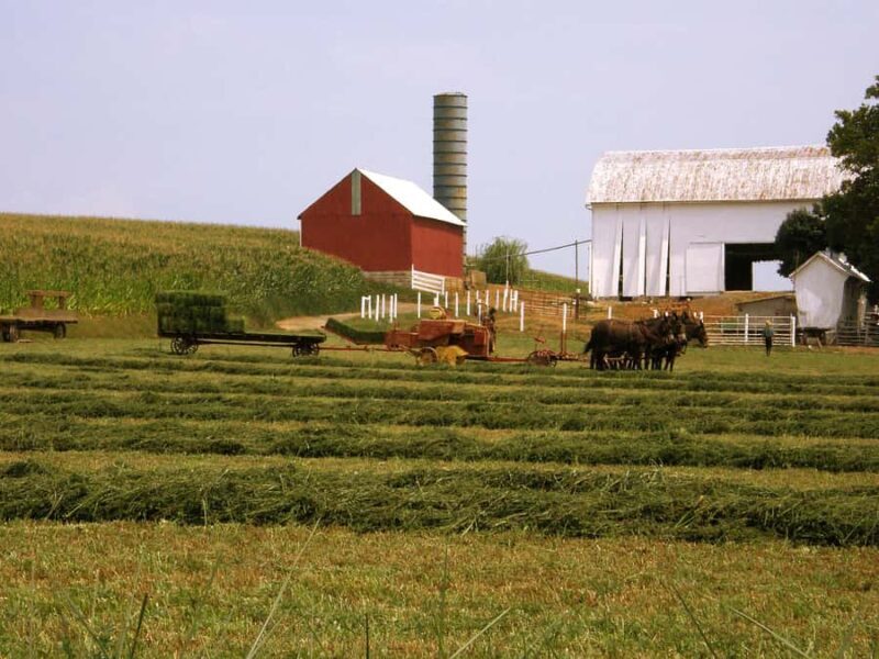 Lancaster: Amish Farmlands Guided Tour - Who Would Enjoy This Tour?