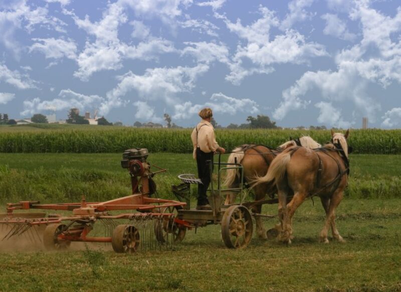Lancaster County: Amish Farmlands, Museum Tour, Farm Visit - The Sum Up