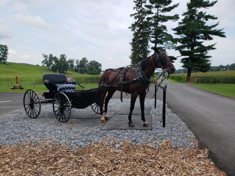Lancaster: Downtown & Amish Country Authentic Lancaster Tour - Discover Lancaster: Downtown & Amish Country Authentic Lancaster Tour