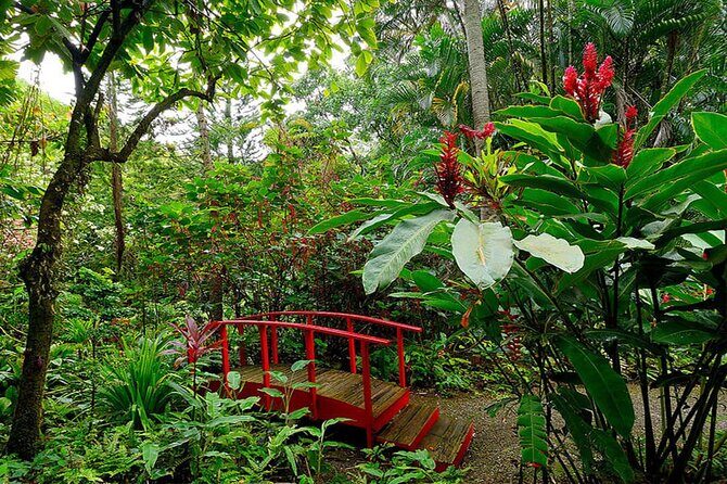 Land and Sea Tour from Marigot Bay Sulphur Springs and Mud Baths - Authenticity and Value: Who Will Appreciate This Tour?