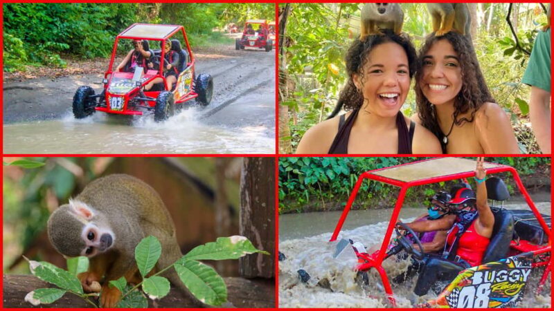 Land of Monkeys Plus ATV Buggies Adventure in Puerto Plata - The Sum Up