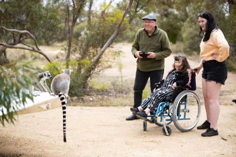 Land of the Lemurs Experience & a Day at Monarto Safari Park - Who Should Consider This Tour?