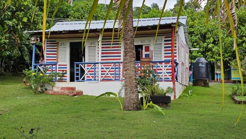 "Land & People" Individual Full Day Tour - from/to Bávaro/Punta Cana - Who Should Consider This Tour?