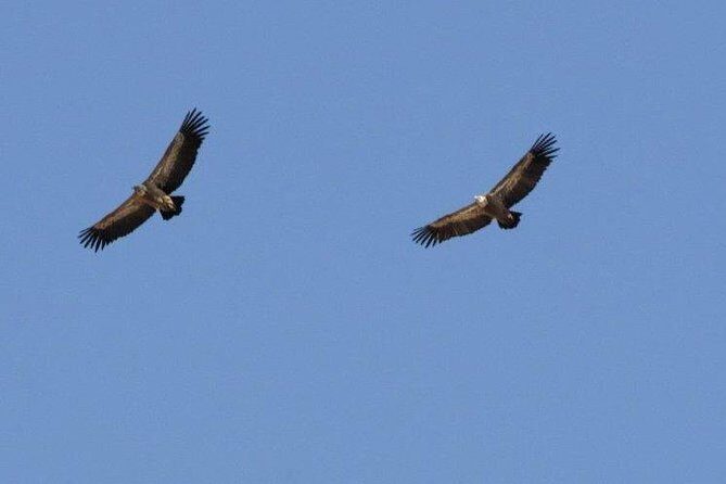 Land Rover Safari Katharo Route - Final Thoughts