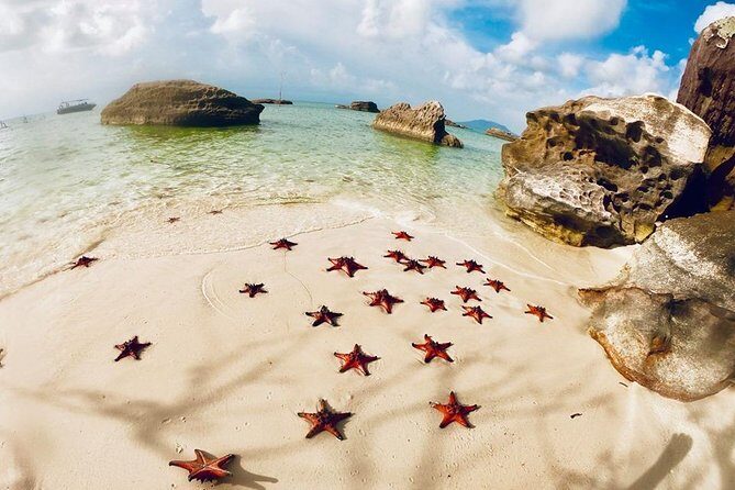 Land Tour 2: Discover the North - Kayaking & Starfish beach Phu Quoc (Not Lunch) - Key Points