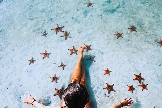 Land Tour 2: Discover the North - Kayaking & Starfish beach Phu Quoc (Not Lunch) - Final Thoughts: Who’s This Tour Best For?