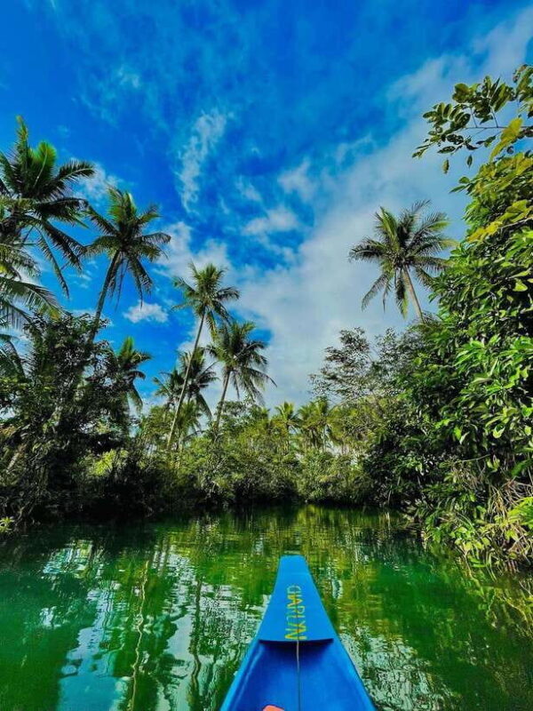 Land Tour Joiners - Exploring the Tour in Detail