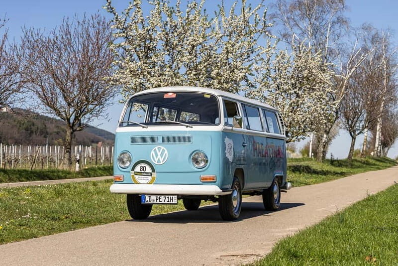Landau: Tour in a vintage VW bus through the Palatinate wine country - Key Points