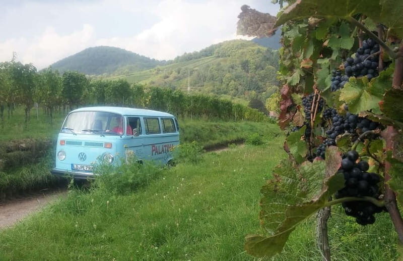 Landau: Tour in a vintage VW bus through the Palatinate wine country - Exploring the Palatinate in a Vintage VW Bus