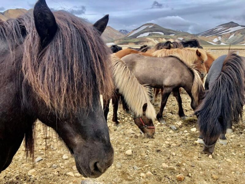 Landmannalaugar Jeep Tour - Key Points