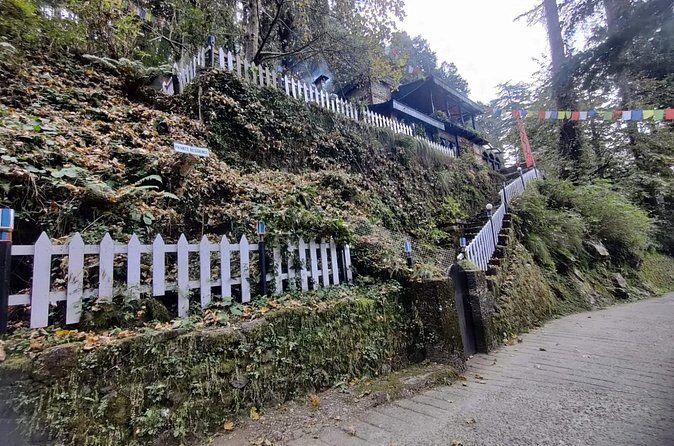 Landour Figure of Eight Walk - FAQs