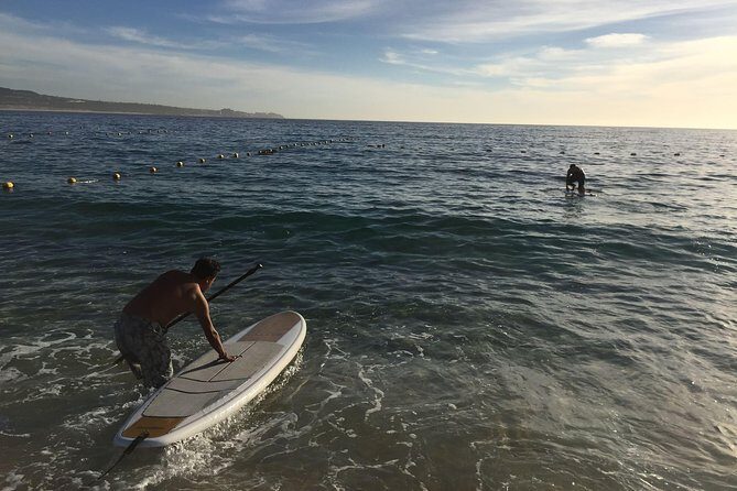 Land's End Sunrise Paddle Boarding Tour - FAQ: Your Land’s End Paddleboarding Questions Answered