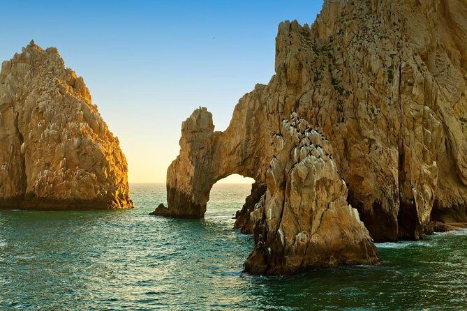 Land's End Tour in a Glass Bottom Boat - Lands End Tour in a Glass Bottom Boat: A Practical Look at Cabo’s Marine and Coastal Highlights