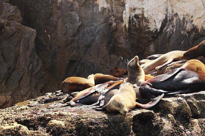 Land's End Tour in a Glass Bottom Boat - Final Thoughts