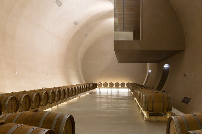 Landscapes of Alentejo - Évora Tour from Lisbon - The Sum Up: Who Will Love This Tour?