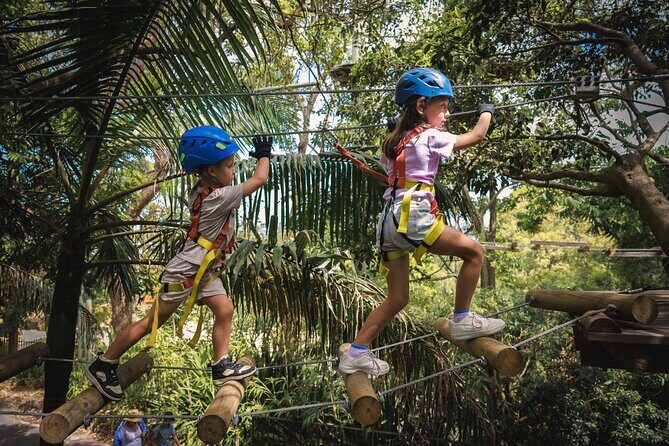 Lane Poole Park Dwellingup - Junior Tree Ropes & Ziplining - Exciting Tree Adventures Near Mandurah