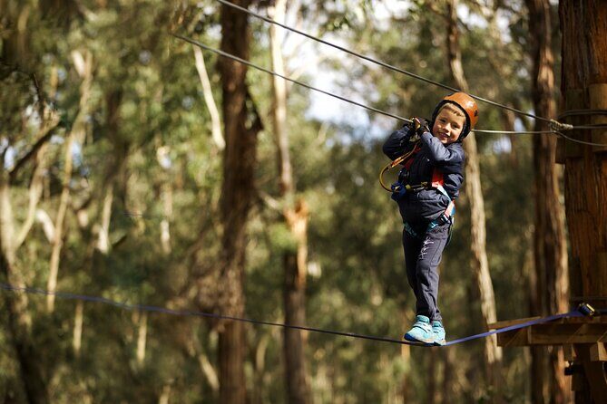 Lane Poole Park Dwellingup - Junior Tree Ropes & Ziplining - Practical Information Summary