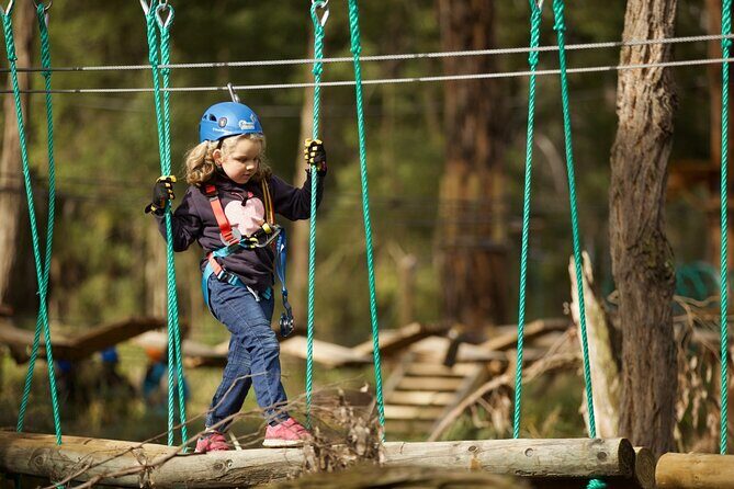 Lane Poole Park Dwellingup - Junior Tree Ropes & Ziplining - Final Thoughts
