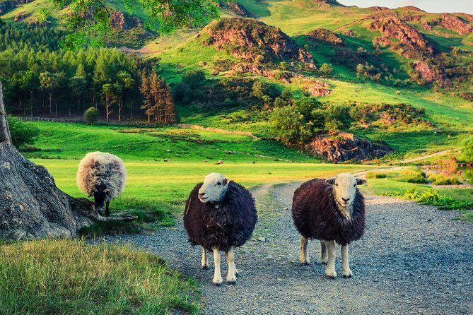Langdale Valley - Half Day - Up to 4 People - Final Thoughts