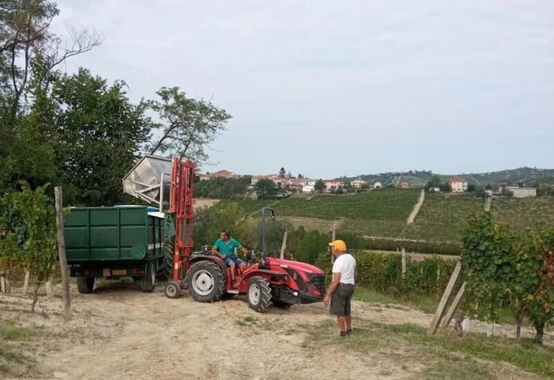 Langhe: grape seasons. Winery and vineyard tour with tasting - Final Thoughts