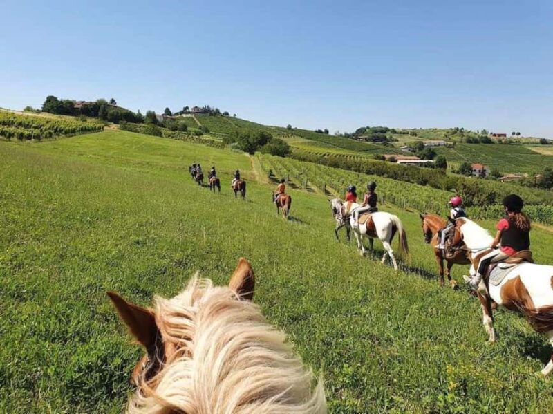 Langhe: Horse Riding in the Vineyards - Key Points