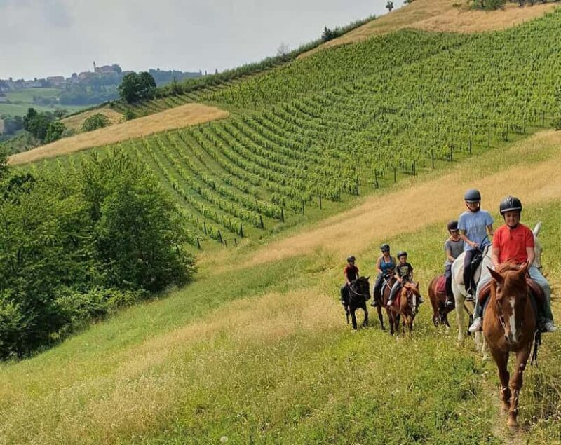Langhe: Horse Riding in the Vineyards - Visiting a Local Agriturismo