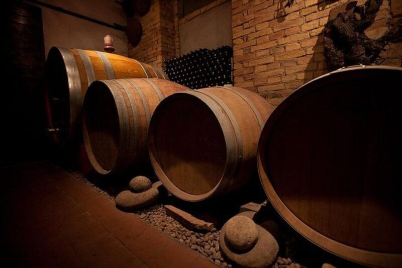 Langhe & Monferrato: Vineyard Tour and Wine Tasting - Practical Details and Tips