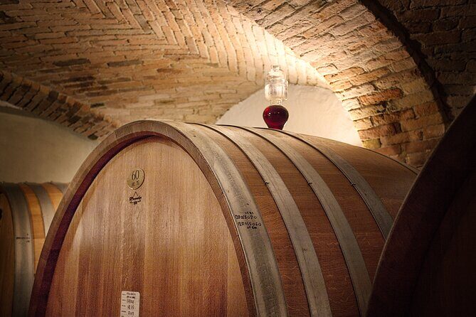 Langhe (Piedmont): Wine Tasting Experience - A Taste of Piedmont: Langhe Wine Tasting Experience