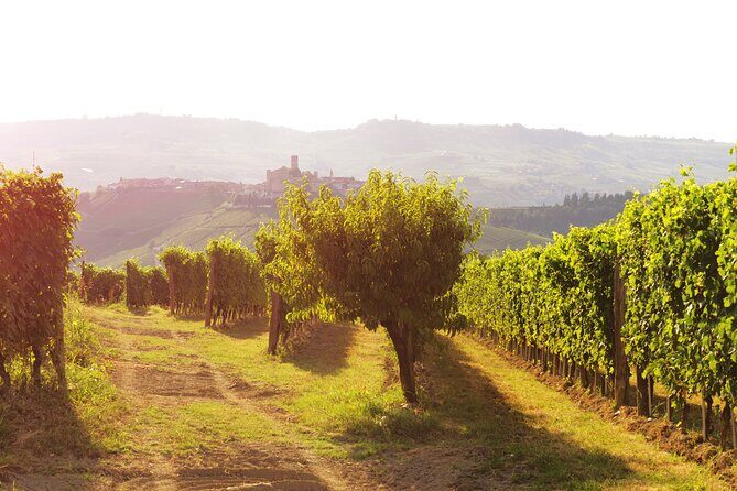 Langhe (Piedmont): Wine Tasting Experience - The Sum Up: Is It Worth It?
