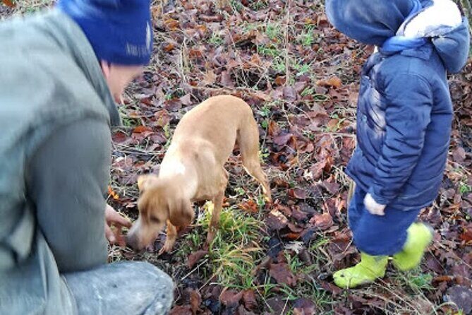 Langhe Truffle hunting Experience - A Deep Dive into the Langhe Truffle Hunting Tour
