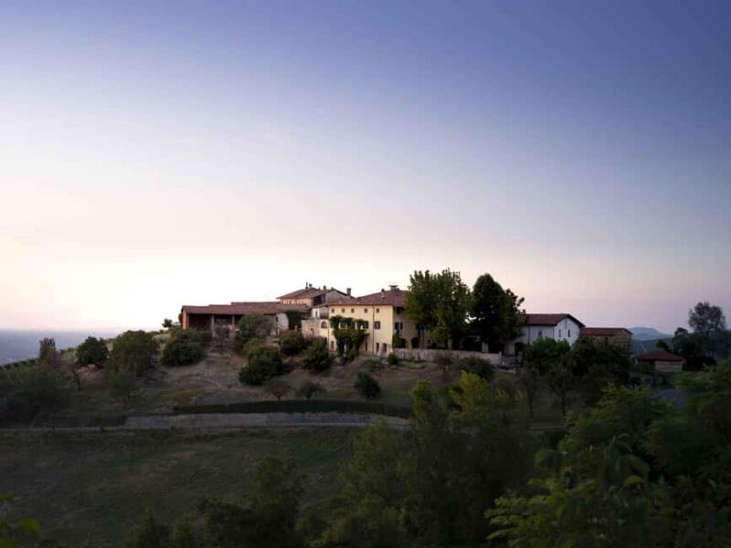 Langhe: Visit to the Vineyard and Historic Cellars with Tasting - Engaging First Paragraphs