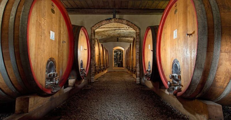 Langhe: Winery Tour and Wine Tasting - Exploring the Langhe Winery Tour and Tasting