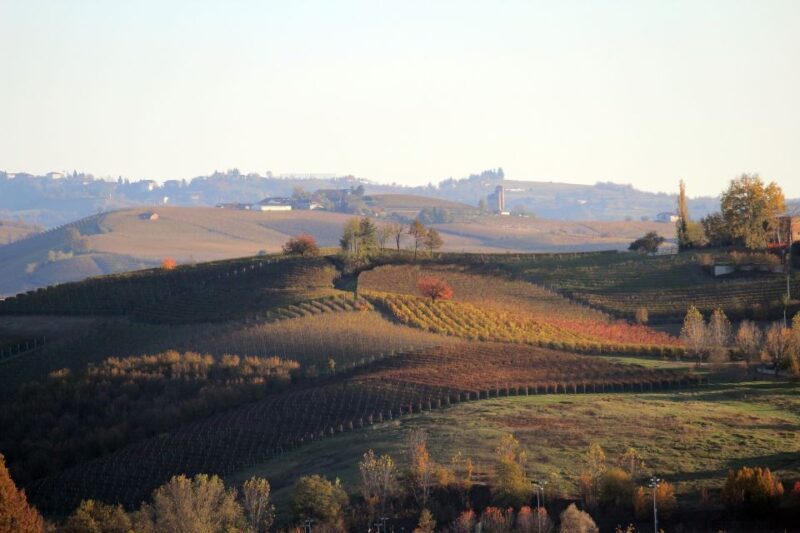 Langhe: Winery Tour and Wine Tasting - Final Thoughts