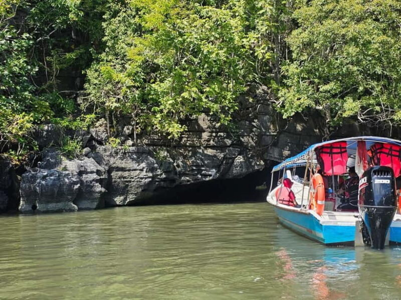 Langkawi: 3-Hour Shared Kilim Geoforest Mangrove Boat Tour - An In-Depth Look at the Langkawi Mangrove Boat Tour